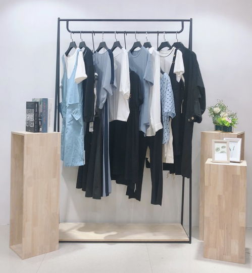 復(fù)古風(fēng)尚，精品庫存女裝連衣裙尾貨批發(fā)指南